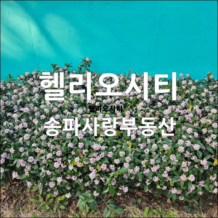  토지거래허가구역 지정 후  헬리오시티 매매 전월세 시세 25.4.3. 기준