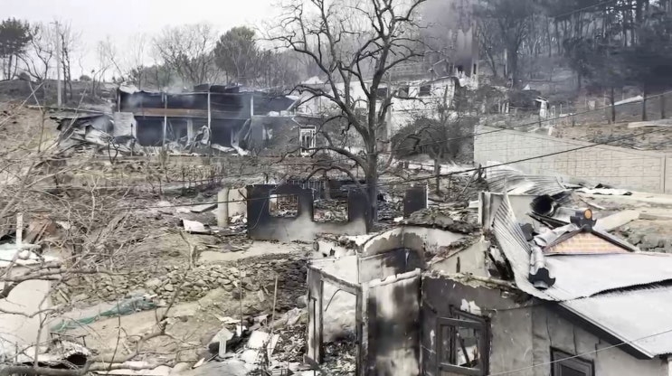 경북 <b>산불 이재민 지원</b>