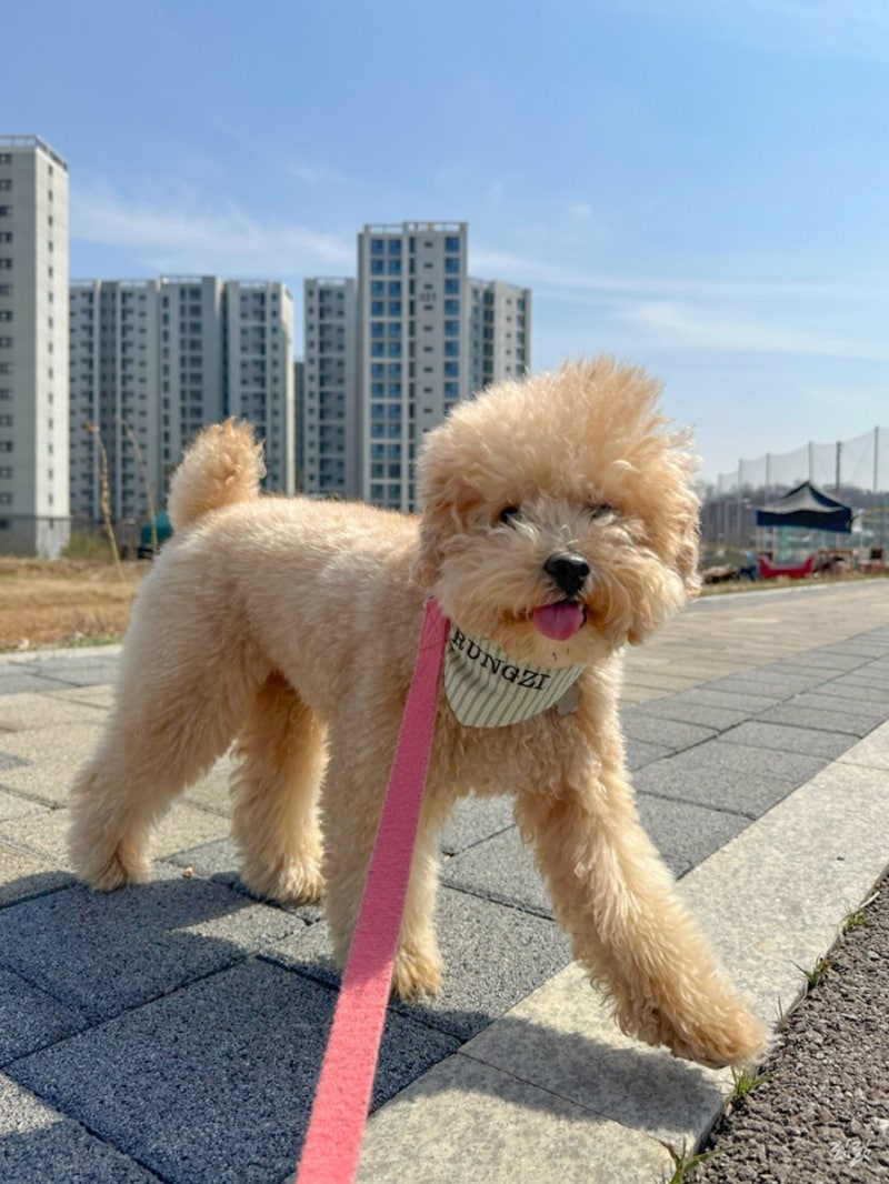 사진 2
