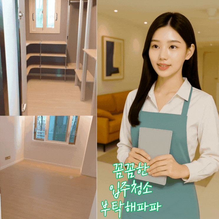  크몽 입주청소 가격 가성비 업체 믿을수있는 부탁해파파 추천 후기