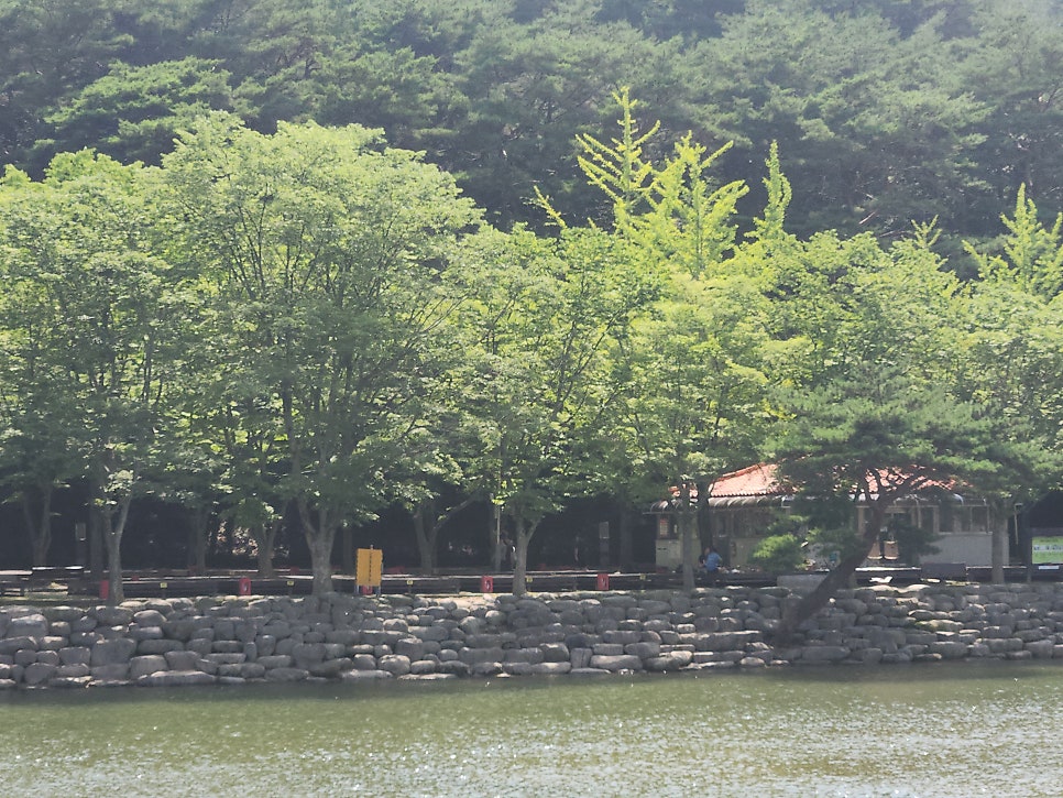 은하리펜션 사진 2