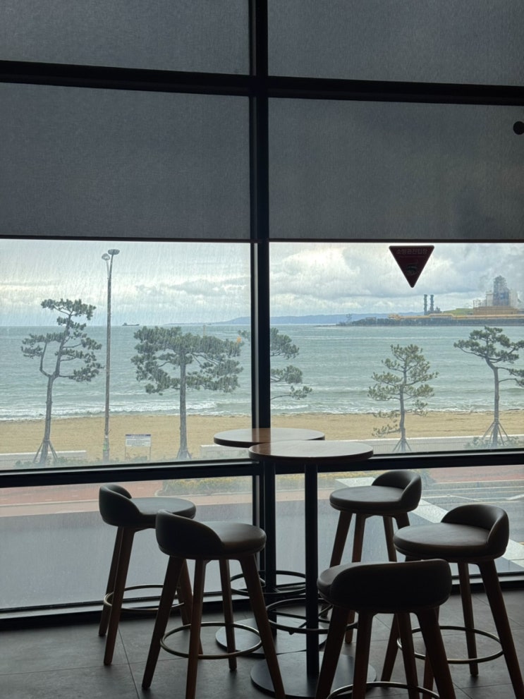  포항 송도 해수욕장 오션뷰 카페 스타벅스 포항송도점