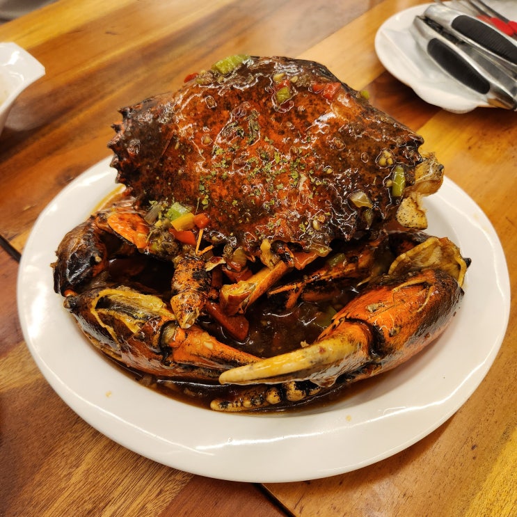  보홀 해산물 맛집! 보홀 씨푸드 맛집 크랩 후기(feat. 씨푸드타운)