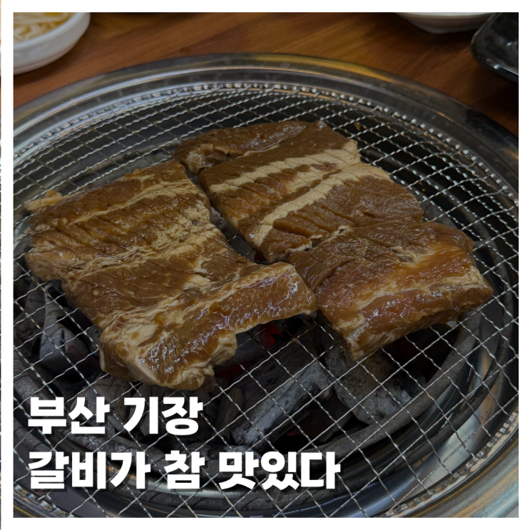  [FOOD]부산 기장고기집 갈비가 참 맛있다 후기 운영 시간 기장핫플 가성비 찐맛집 추천!