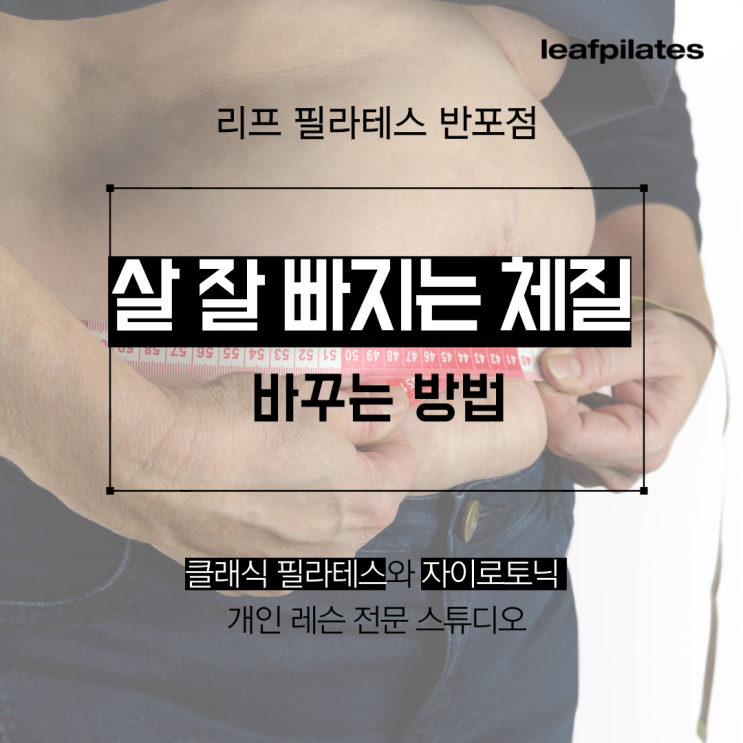  [반포 필라테스] 살 잘 빠지는 체질로 바꾸는 방법 / 반포필라테스 리프