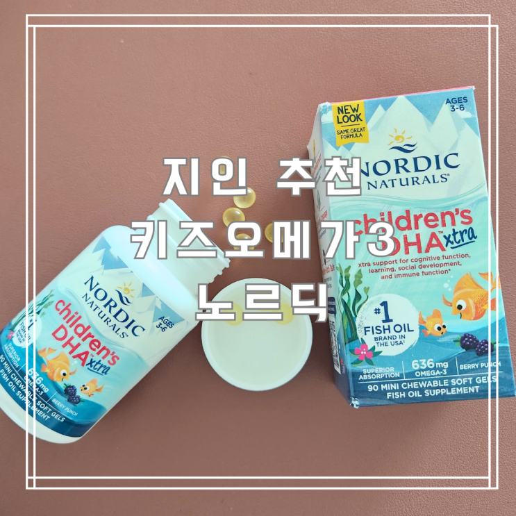  지인 추천 키즈오메가3 노르딕 오메가3