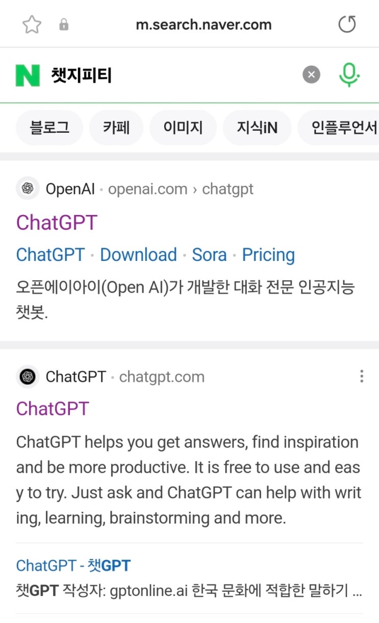  챗지피티 사진 변환 지브리풍 토토로 지브리 스타일 바꾸기 소요시간 오류 유명 화가 샤갈 고흐 앤디워홀 팝아트 인공지능 그림 만드는 방법