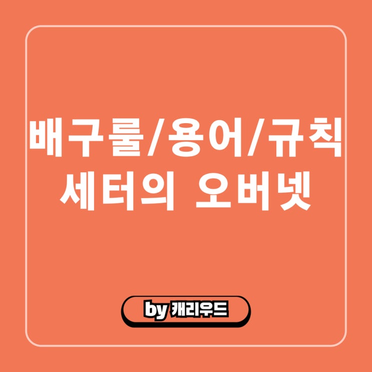  배구 세터 오버넷 반칙 규정 FIVB 국제룰 케이스 설명