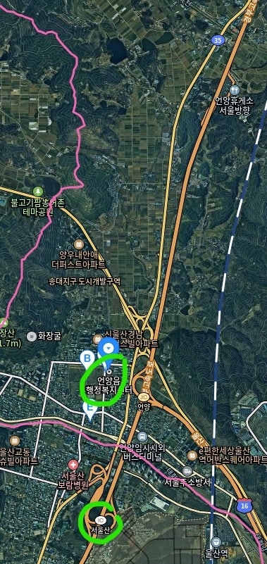 힐링숲 사진 5