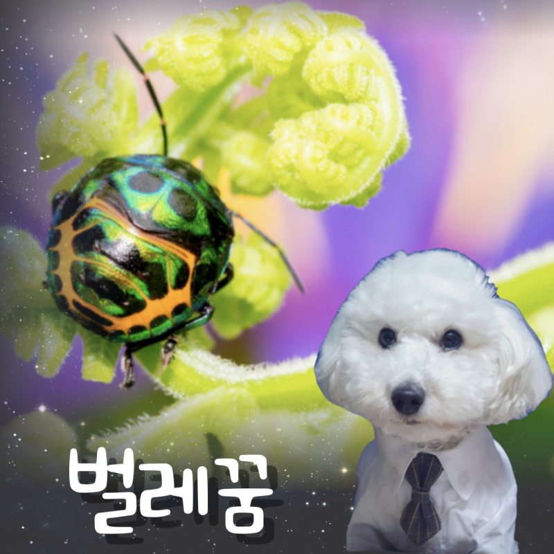 벌레가 몸에 붙는 꿈 큰 벌레 꿈 해몽