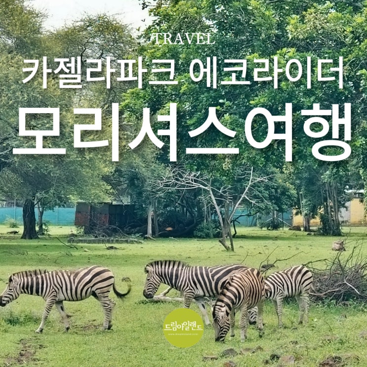  모리셔스 카젤라파크에서 에코라이더를 타고 즐기는 친환경 사파리 투어