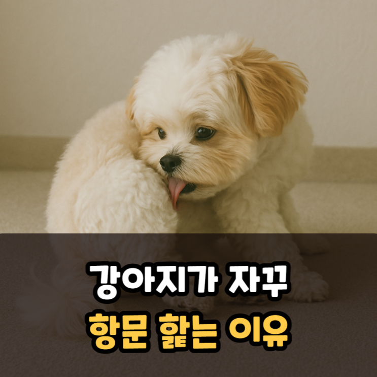  강아지 항문 핥는 이유