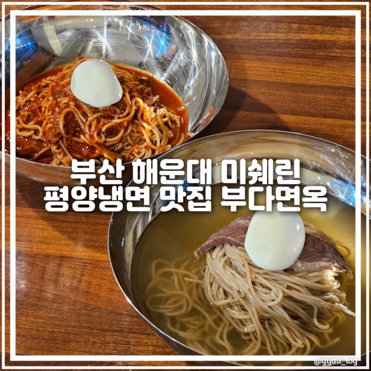 해운대시장 미쉐린 부다면옥 평양냉면 내돈내산 솔직후기 해운대시장 미쉐린 부다면옥 평양냉면 내돈내산 솔직후기