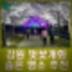 강원 벚꽃 개화 및 만개 시기, 축제와 숨은 명소 추천