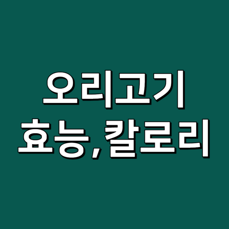 오리고기 효능 단백질 함량 영양성분 훈제오리 칼로리