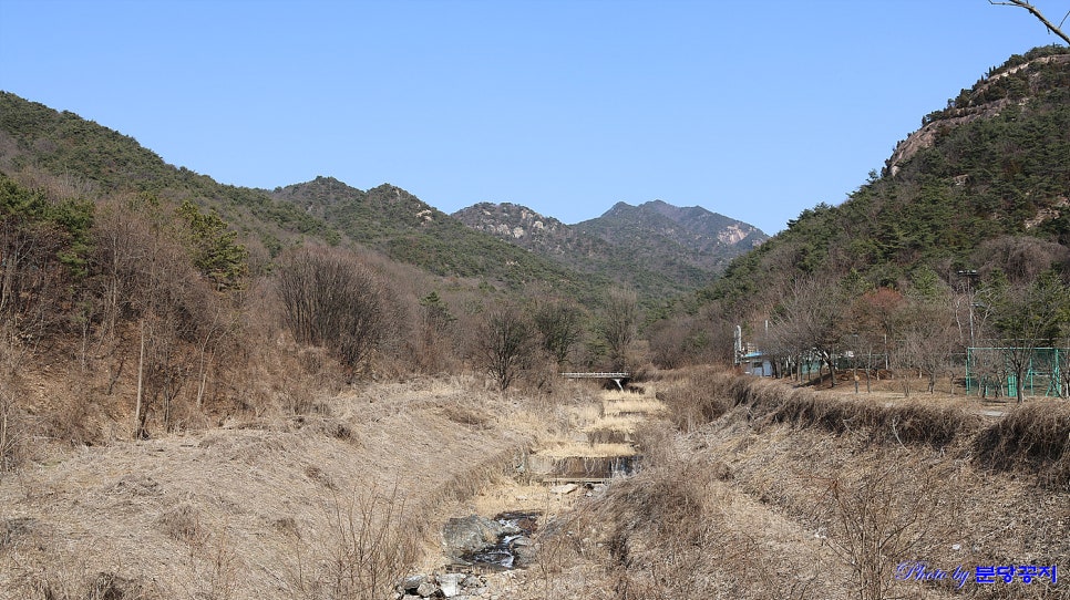 몽베르 카페 사진 2