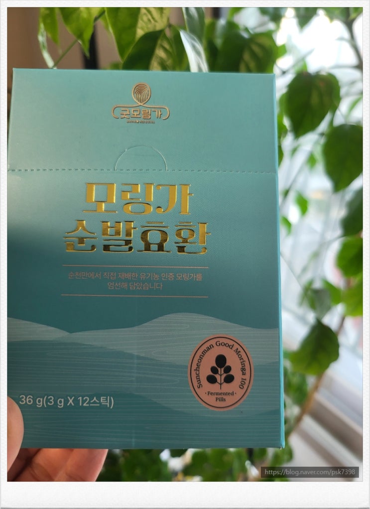  모링가환 남도장터에서 내돈내산  리뷰
