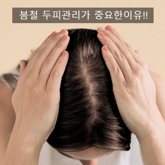  봄철 환절기 두피관리가 중요한 이유!!