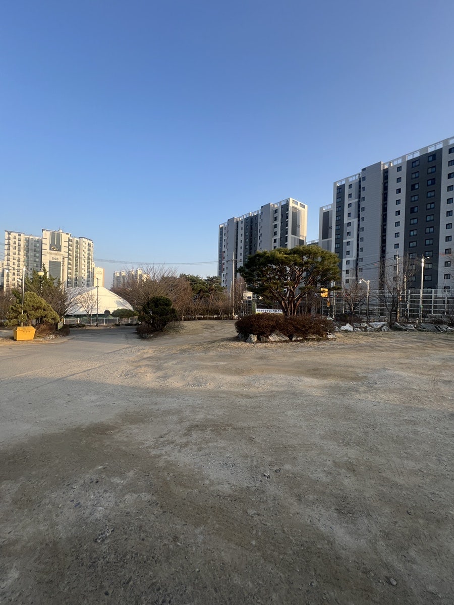 초원 사진 3
