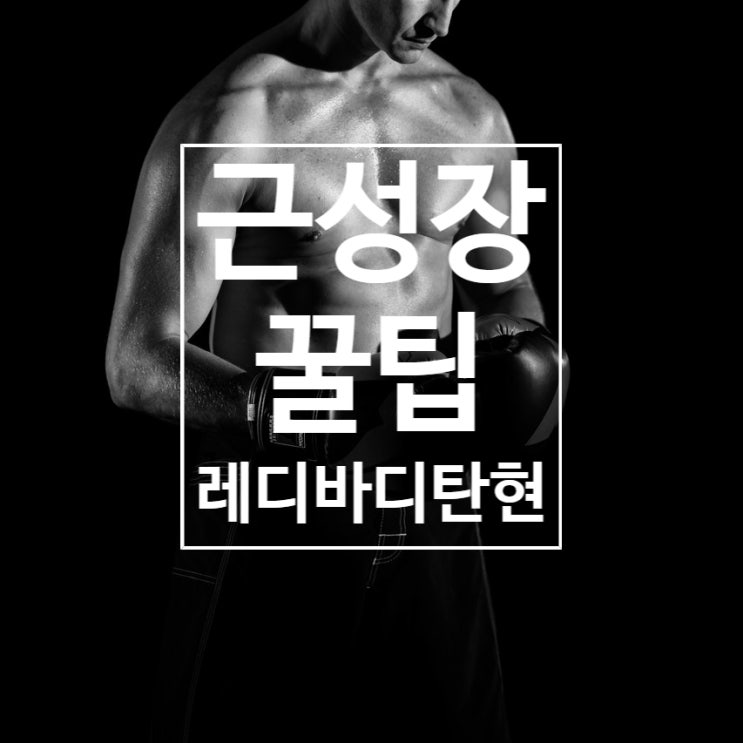 탄현동 헬스장 레디바디 탄현점에서 알려드리는 근성장 꿀팁!