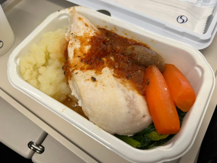  대한항공 특별기내식 신청 야채식 동양채식 식사조절식 리뷰