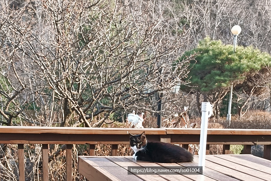 강촌프로방스펜션 사진 1