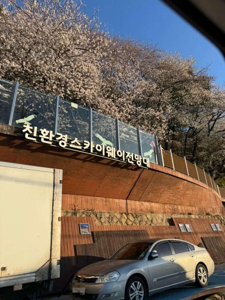 부산 산복도로 2025.4.3 벚꽃개화현황(부산 동구~중구~서구) 부산 산복도로 2025.4.3 벚꽃개화현황(부산 동구~중구~서구)