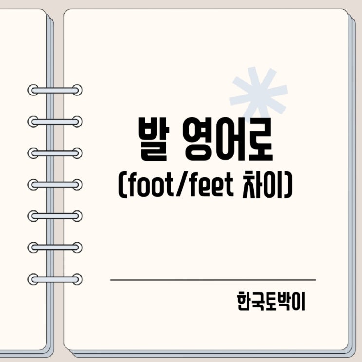  발 영어로 foot feet 뜻