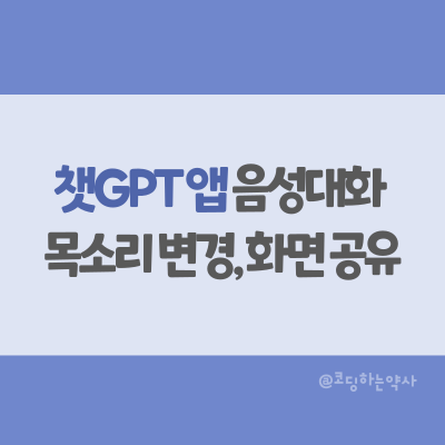  챗GPT 음성대화 방법 최신사항 추가 - 목소리 변경, 이미지 공유, 화면 공유