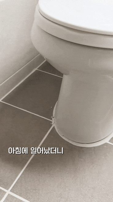다이소 다용도 방수 줄눈 시멘트로 화장실 변기 백시멘트 깨짐 셀프 시공하기