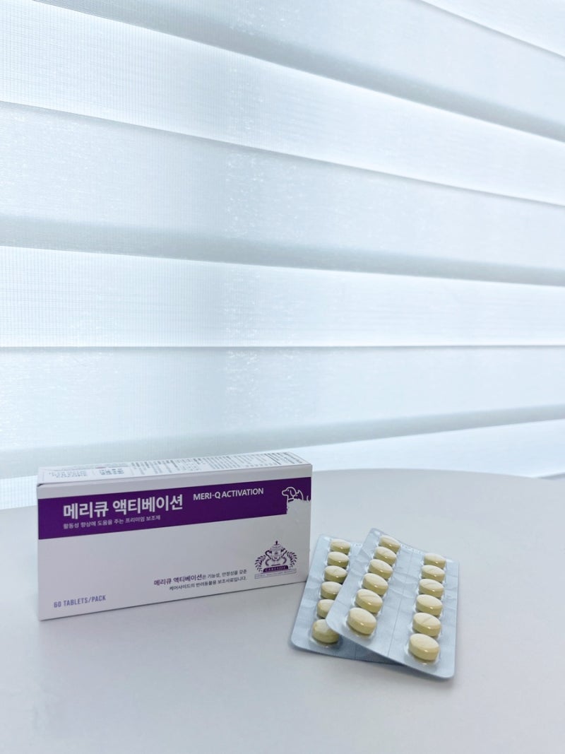 고양이 강아지 치매약 '메리큐 액티베이션' 내 돈 내산 솔직 후기