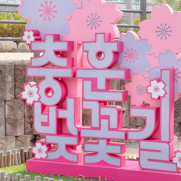  안양충훈벚꽃축제 4.4 실시간 벚꽃 개화상황