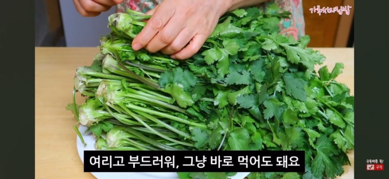 고수 1kg 5900원! 딱 50분께만 파격 할인가에 보내드려요