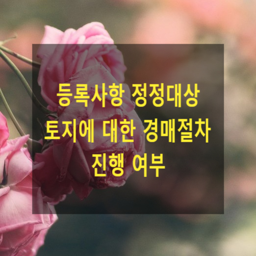  등록사항 정정대상 토지에 대한 경매절차 진행 여부(지적부불합지)
