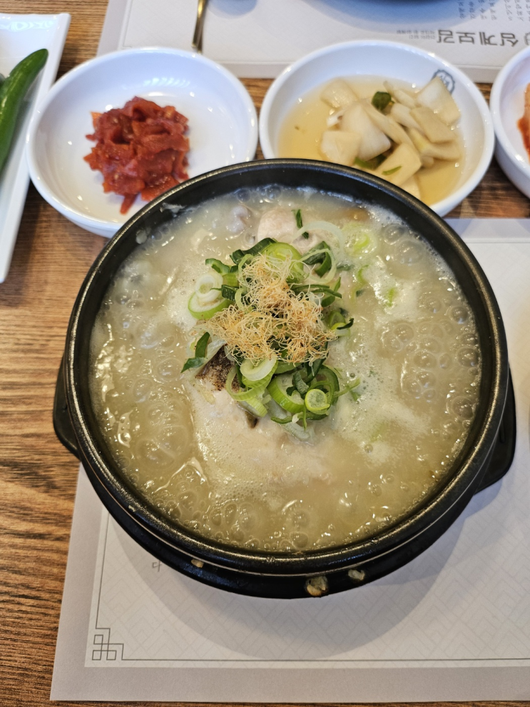  일산동구 맛집 삼계보감 본점 녹두 삼계탕 후기