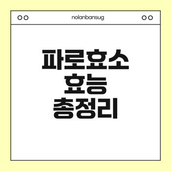 파로효소의 효능과 건강 효과가 궁금한가요