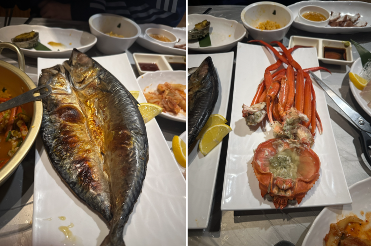  [부산 진구] 양정역 끊임없이 나오는 해산물 다찌의 정석 양정 '대오야'