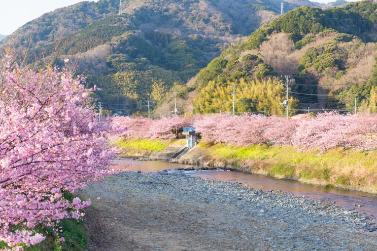  일본소도시여행 데시오 天塩 볼거리 먹거리 가이드