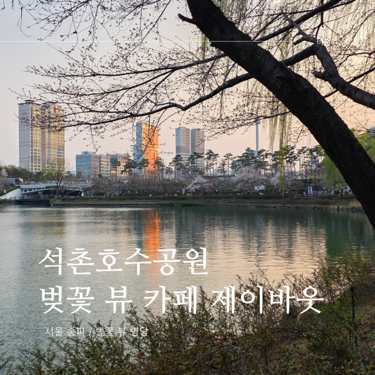  석촌호수 공원 둘레길 벚꽃 뷰 카페 제이바웃