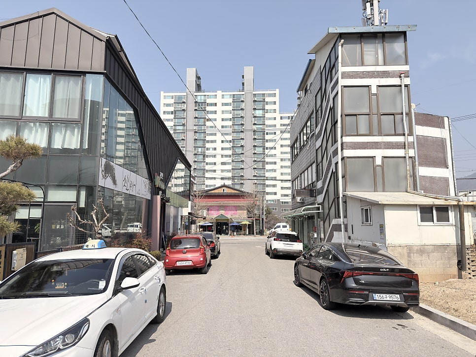 주희정 사진 2