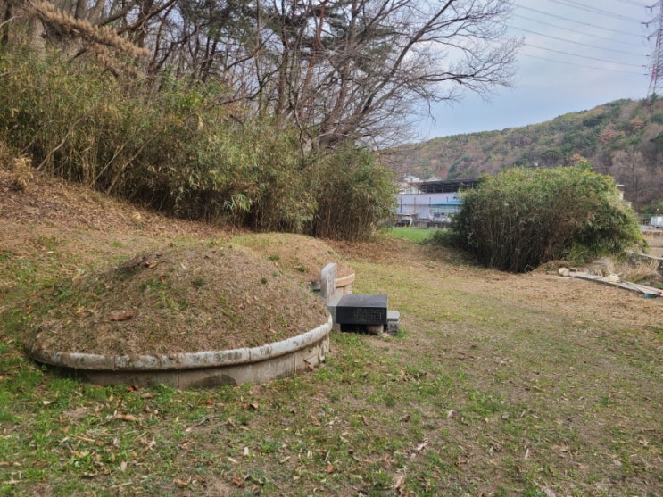  울산 울주군 반천리 봉분 2기 100평 대나무 죽순 약제처리 및 주변 대나무 제거("울산벌초대행 ")
