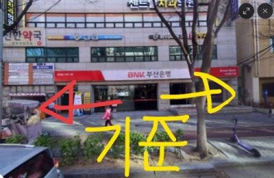사진 9