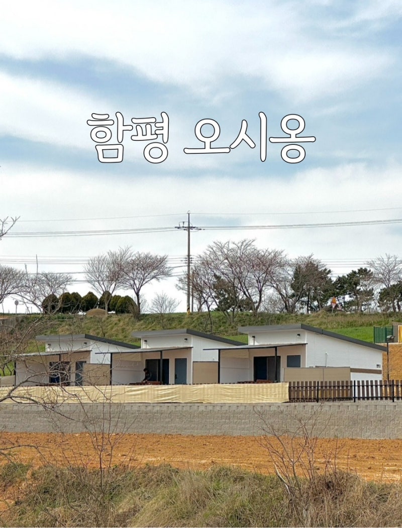 사진 3
