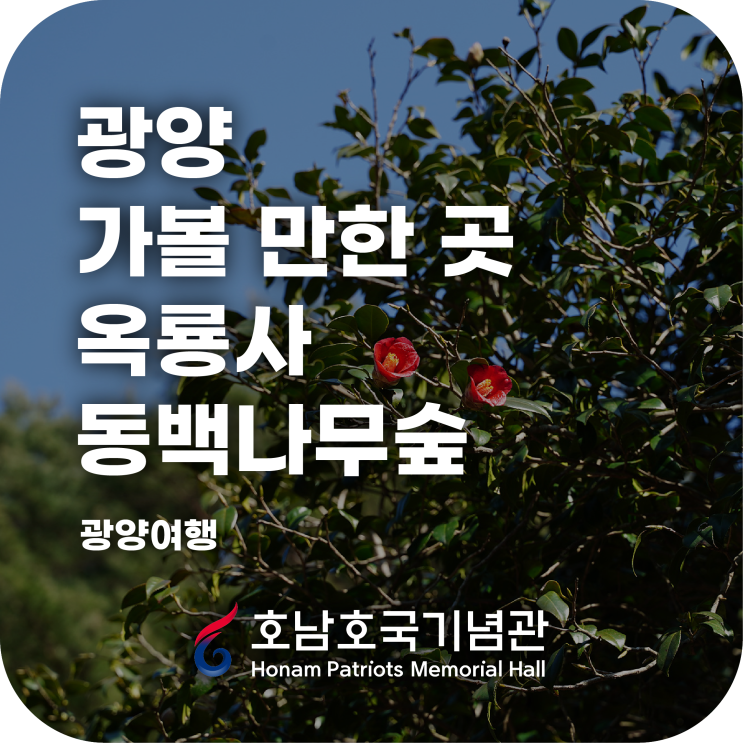 가볼 만한 곳 옥룡사 동백나무숲 동백축제 함께 즐겨<b>보아</b>요