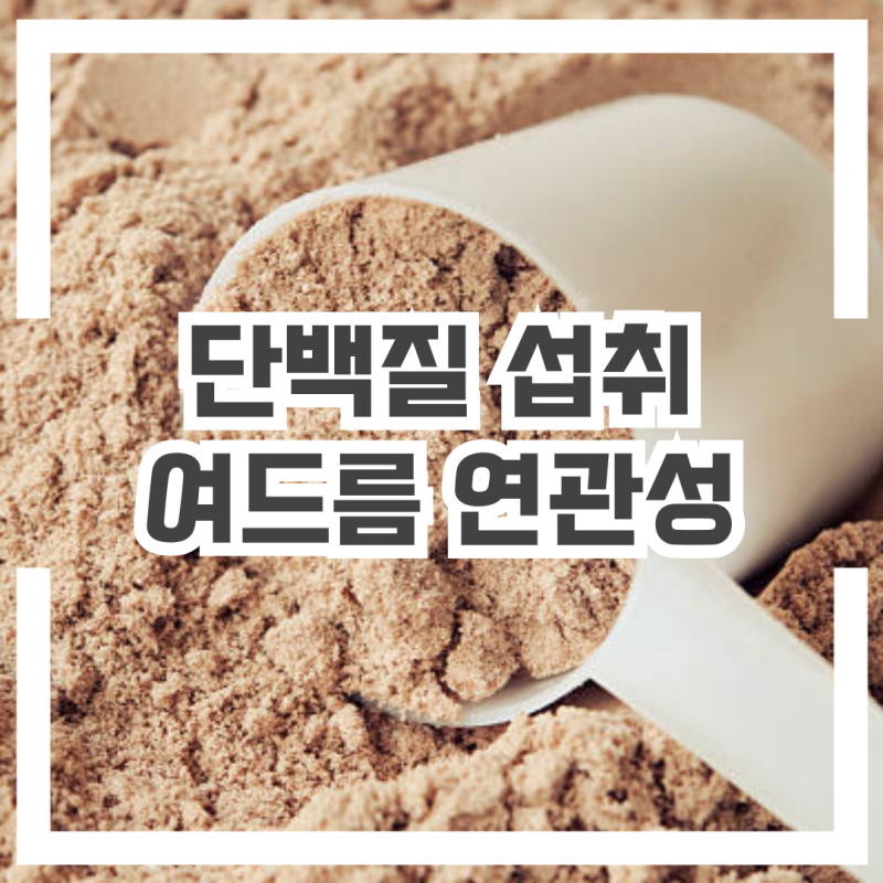 단백질 보충제 여드름에 괜찮을까? : 단백질 섭취와 여드름 연관성