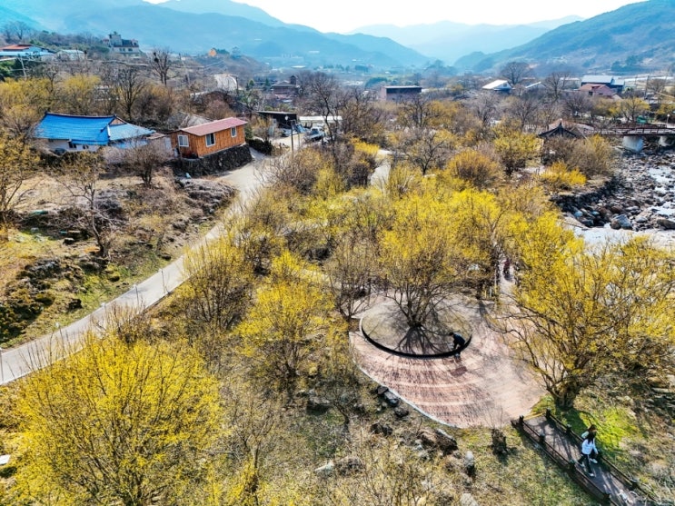 걷고 싶은 길] 지리산 봄 마중, 구례 산수유 길