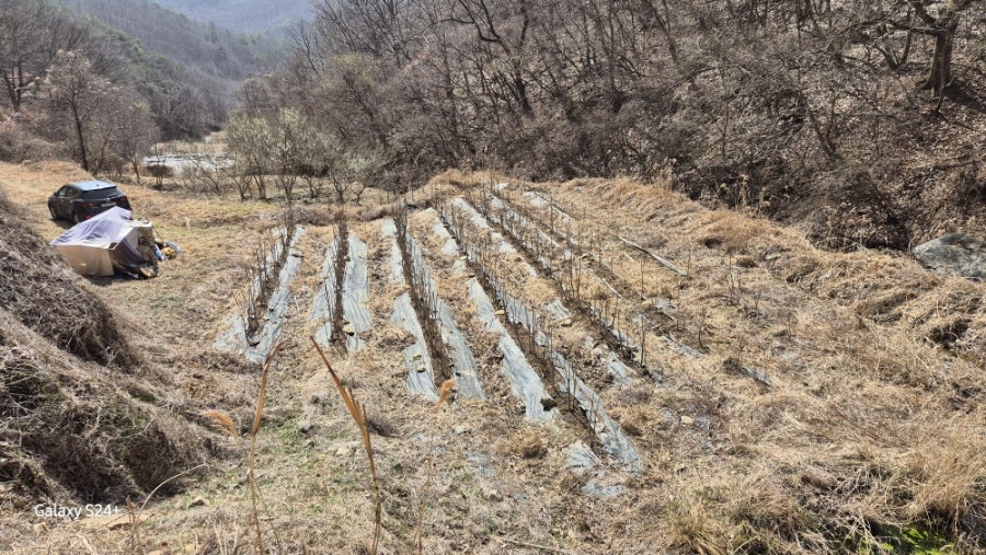 구절골 사진 1
