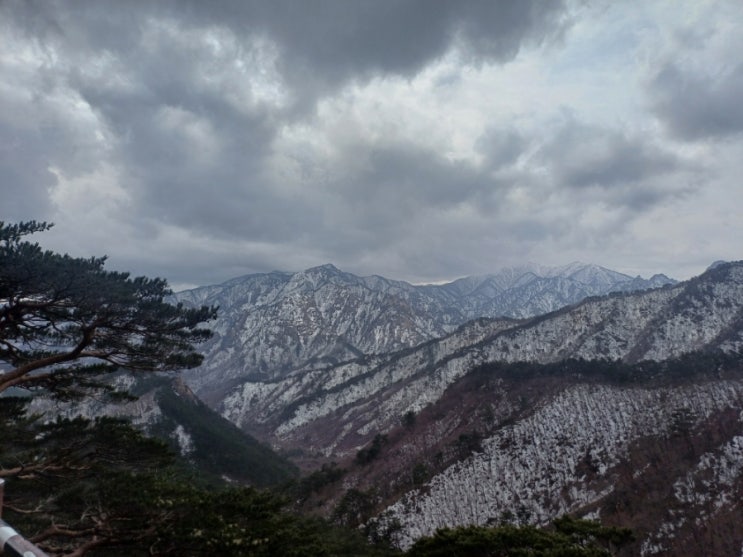  04.04 주요신문 헤드라인