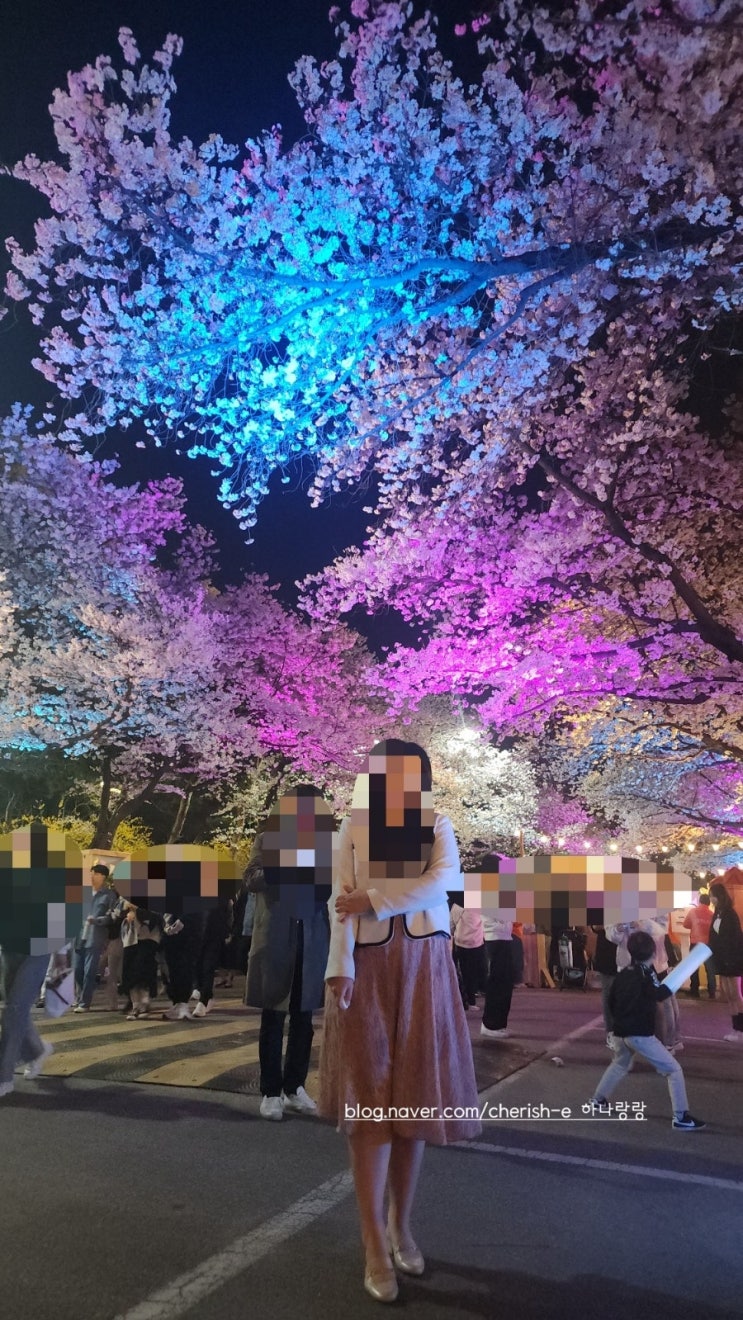  2025 렛츠런파크서울(과천) 봄봄 벚꽃축제 오픈했어요(주차, 꿀팁)