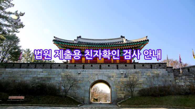  인천에서 법원 제출용 친자확인검사 안내